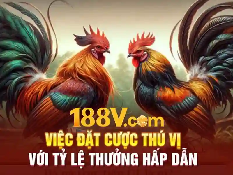 188v là gì - hành trình và giá trị của 188v