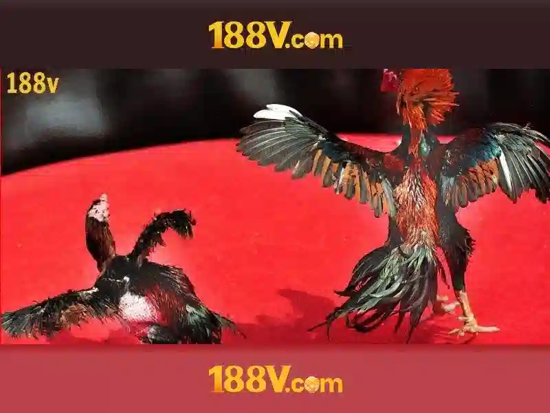 Khám phá 188v: một khung ý tưởng cho tương lai Khám phá 188v: một khung ý tưởng cho tương lai