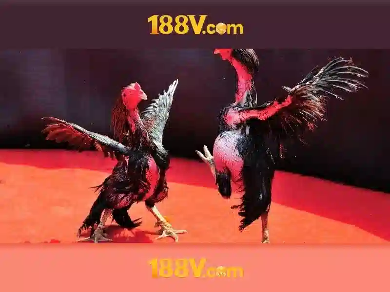 Nhà cái 188v – Trải nghiệm cá cược đỉnh cao và an toàn