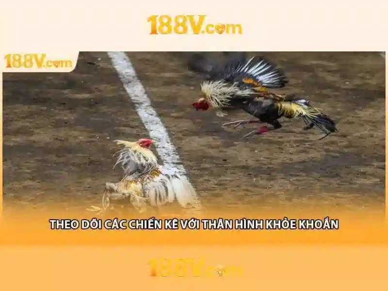 Tải app 188v – Tổng quan chủ đề và giá trị cốt lõi