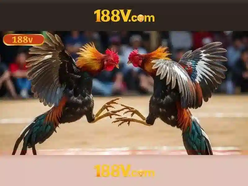 Tương lai của 188v Tương lai của 188v