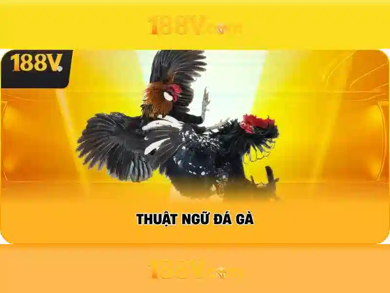 code 188v mới nhất – Tổng quan và giá trị cốt lõi