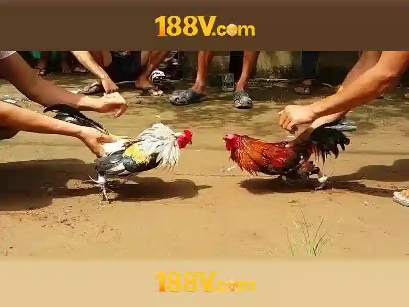 eSports 188v: Trải nghiệm và đánh giá nền tảng hàng đầu