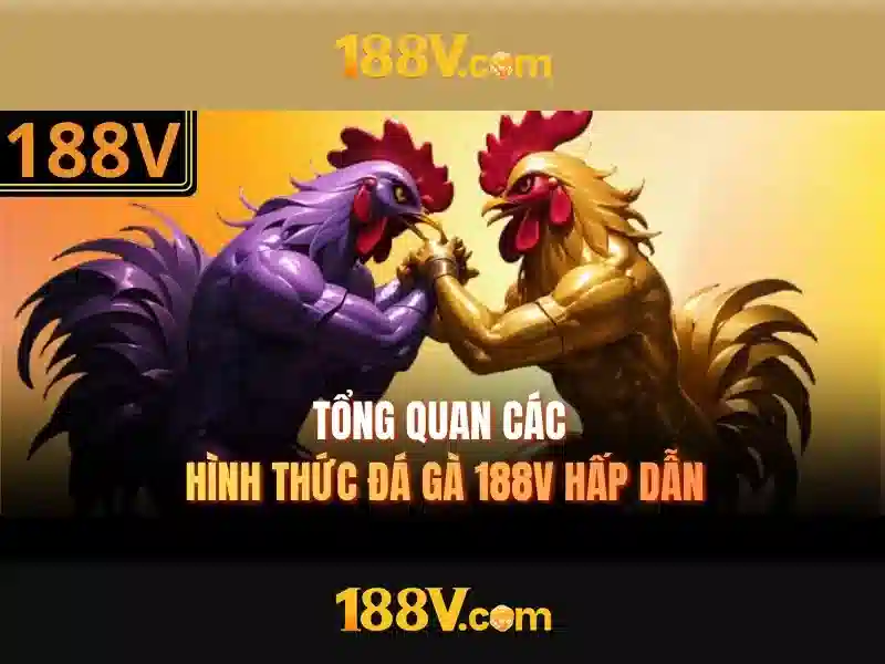 khuyến mãi 188v – chủ đề tổng quan và giá trị cốt lõi