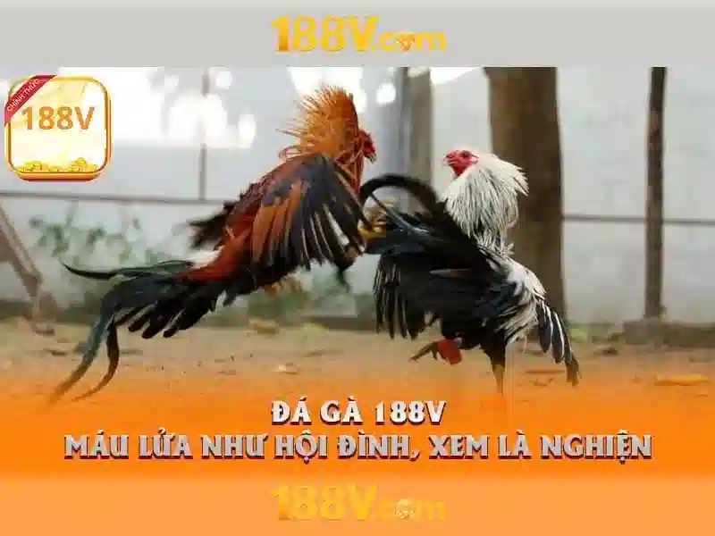 game bài 188v – Tổng quan chủ đề và giá trị cốt lõi