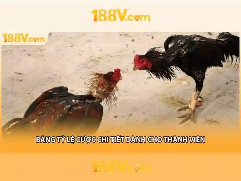 188v free – tổng quan chủ đề và giá trị cốt lõi