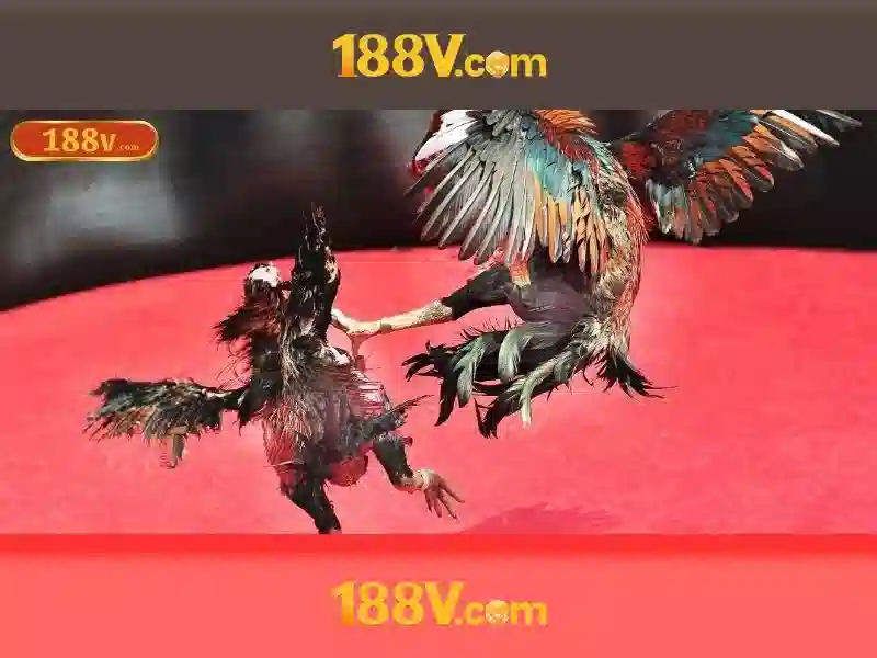 188v nổ hũ – trải nghiệm đỉnh cao và cơ hội nhận quà hấp dẫn