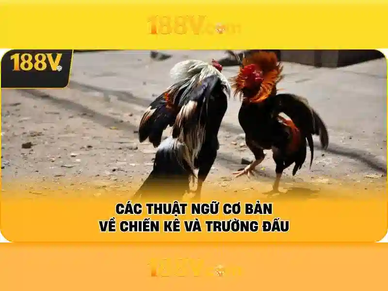 188v com app – Tổng quan và trải nghiệm đỉnh cao