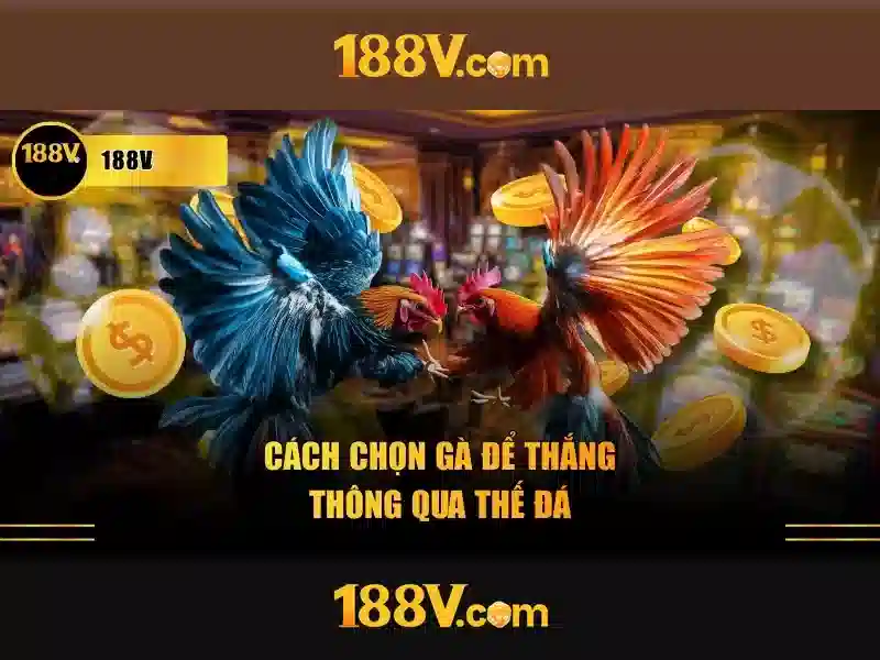 nhận thưởng 188v - Tổng quan, giá trị và ứng dụng
