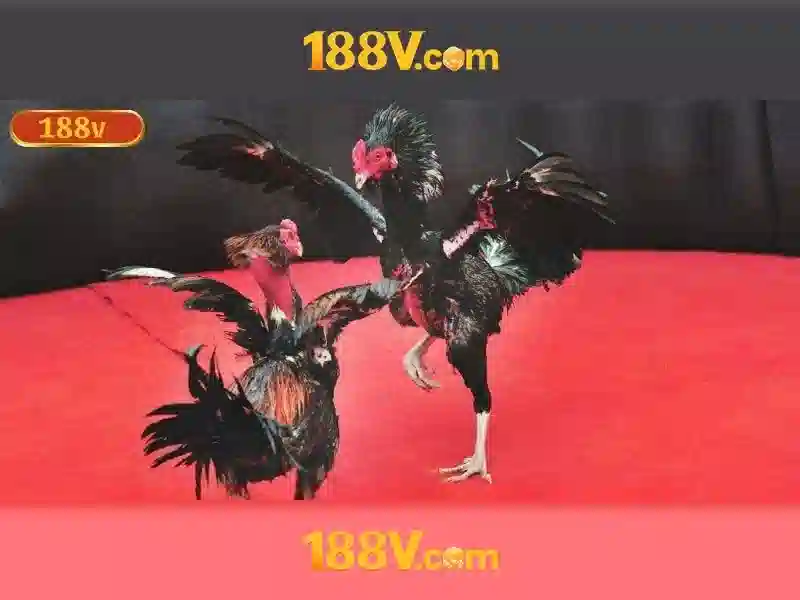 Cách đo và thông số liên quan