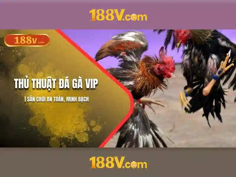 khuyến mãi 188v – chủ đề tổng quan và giá trị cốt lõi