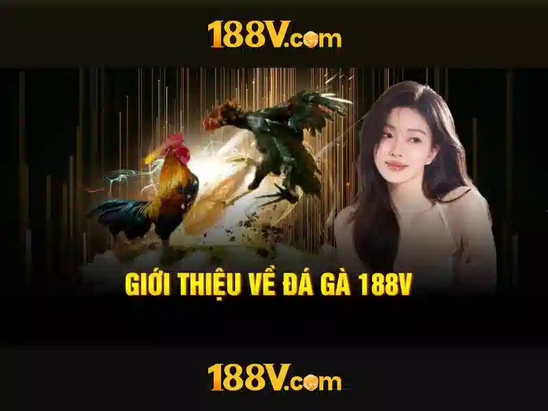 Hướng tới tương lai