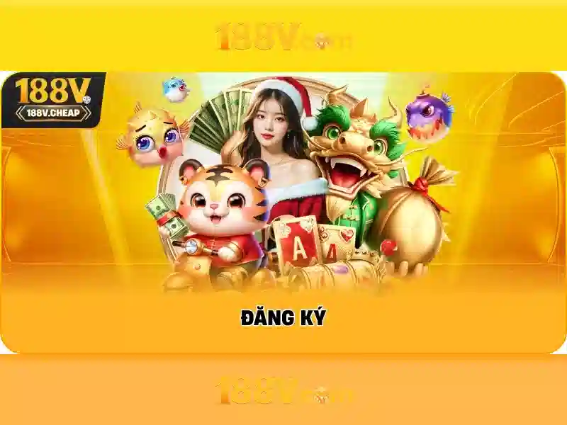 Trải nghiệm người dùng và phản hồi cộng đồng