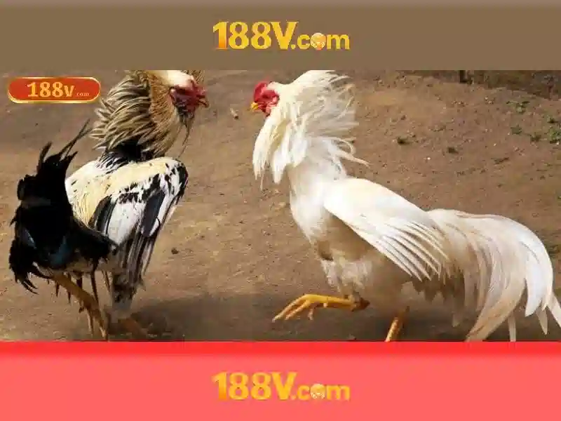 Ẩn sâu trong 188v\n\n