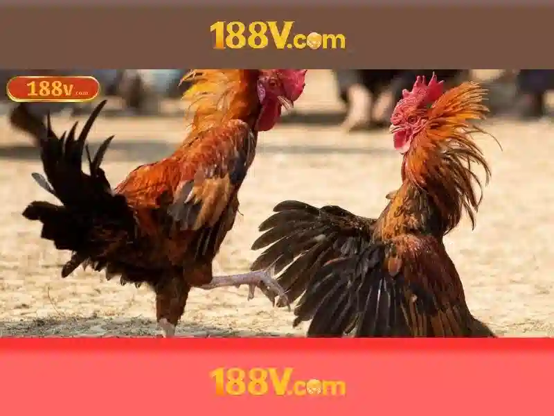 Ứng dụng và câu chuyện