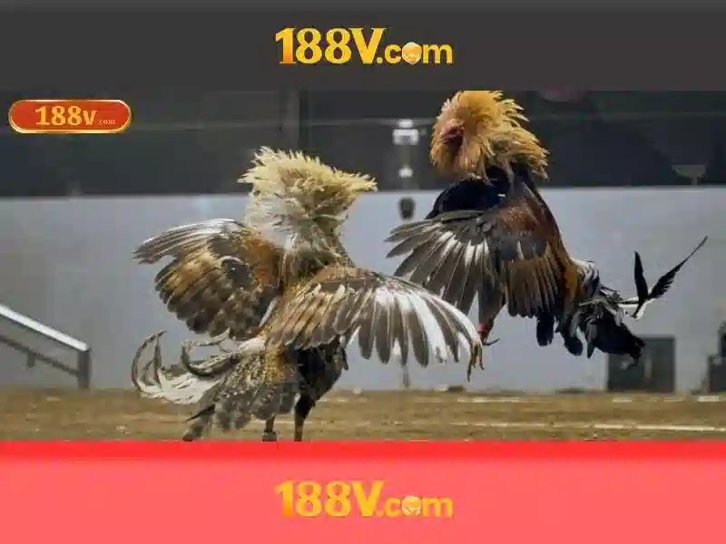 Chủ đề: 188v là gì? Chủ đề: 188v là gì?