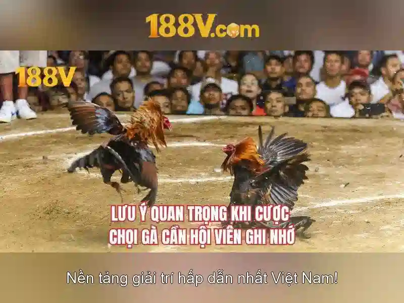 188v . com – Tổng quan, trải nghiệm và đánh giá