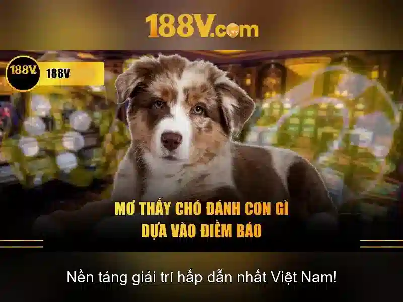 188v: Nền tảng và hành trình của một khái niệm công nghệ