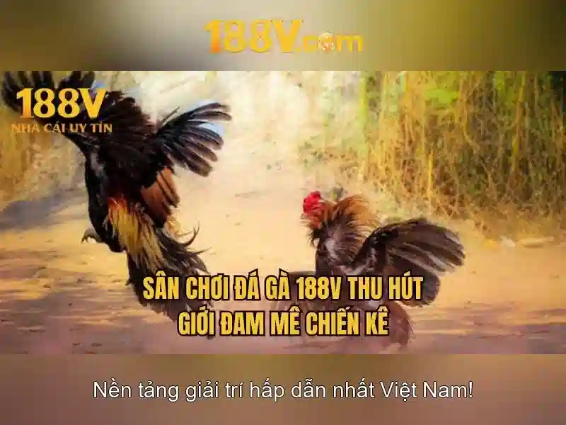 188v: một khái niệm và câu chuyện đằng sau nó