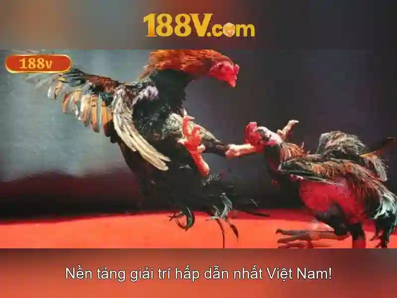 Ý nghĩa và tác động trong xã hội số Ý nghĩa và tác động trong xã hội số