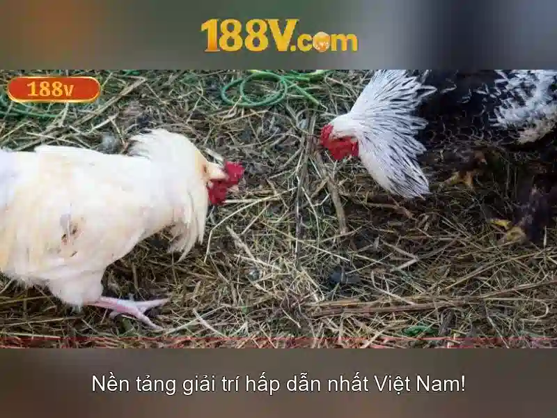 Nguồn gốc và ý nghĩa của 188V Nguồn gốc và ý nghĩa của 188V