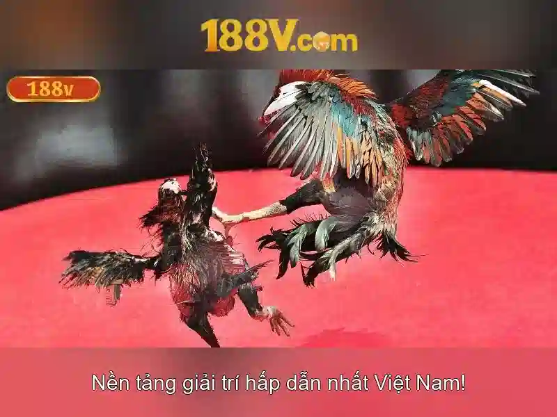 188v – một khung thời gian ảo