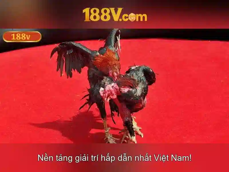 188v: một khái niệm và câu chuyện đằng sau nó