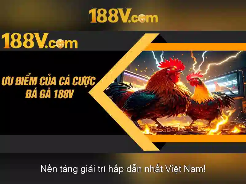Khám phá 188V: một cái nhìn tổng quan