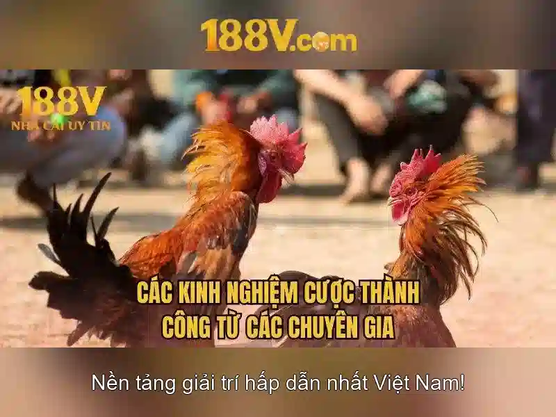 Khái niệm 188v và hành trình khám phá