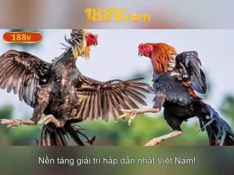 Khám phá khái niệm 188v và ảnh hưởng của nó