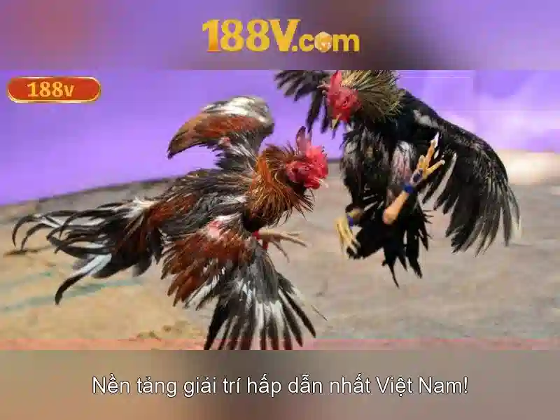 Đo lường và an toàn khi làm việc với 188v