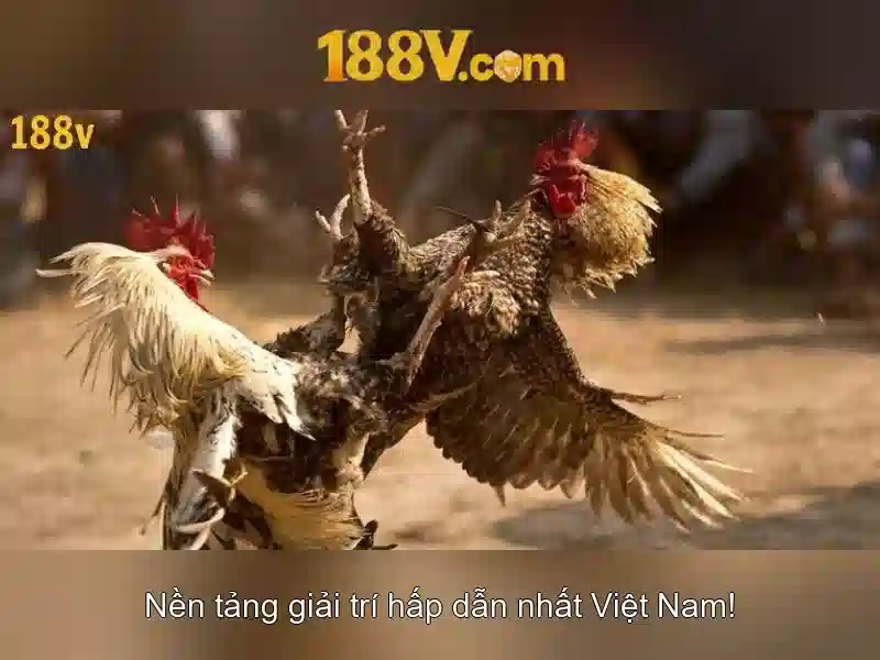 188v - một con số mang nhiều ý nghĩa