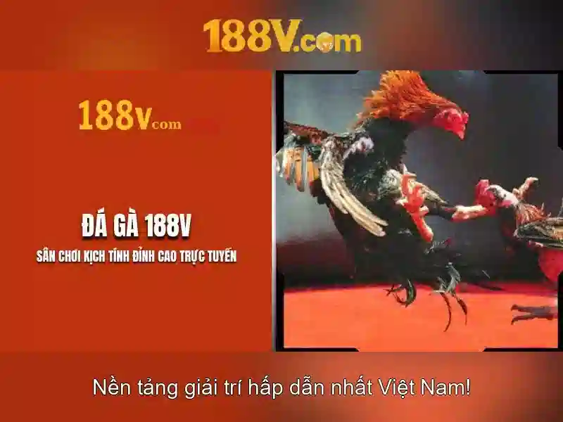 link 188v – Tổng quan, trải nghiệm và tiềm năng
