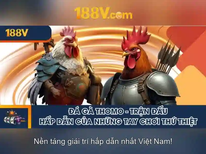 Thiết kế và kiểm tra\n Thiết kế và kiểm tra\n