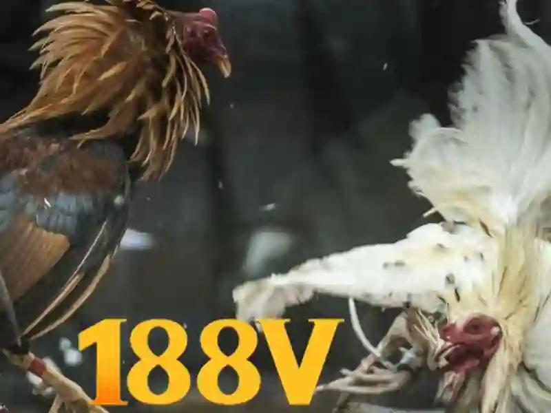 Nguồn gốc từ khóa và sứ mệnh của tại app 188v