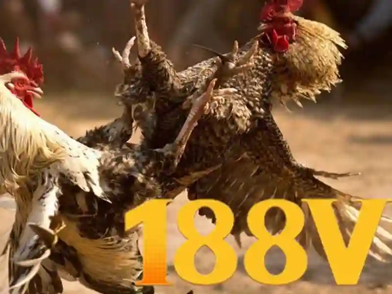 An-toan-va-tuan-thu-188v